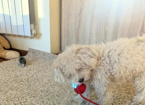 Kundenfoto von Lena K.